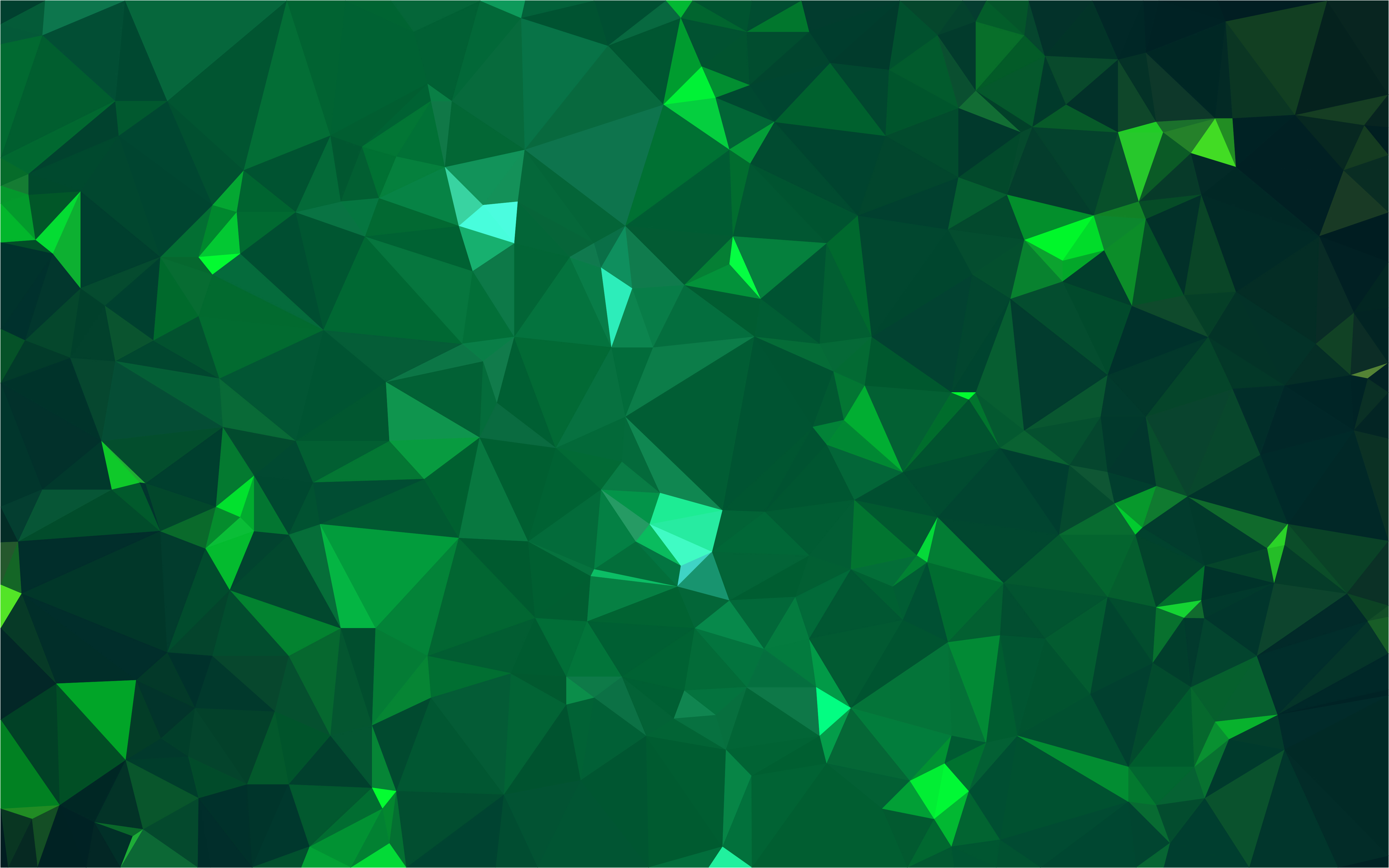 Fundo do card